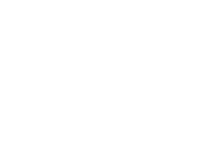 Cybertek